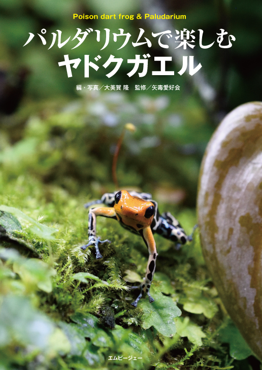 パルダリウムで楽しむヤドクガエル エムピージェー パルダリウムで楽しむヤドクガエル エムピージェー