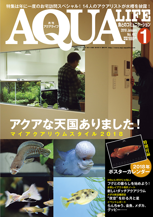 アクアライフ2018年01月号