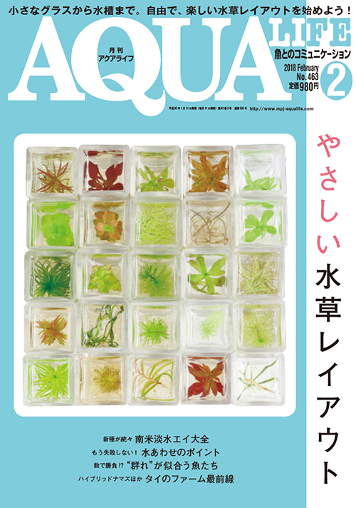 アクアライフ2018年02月号