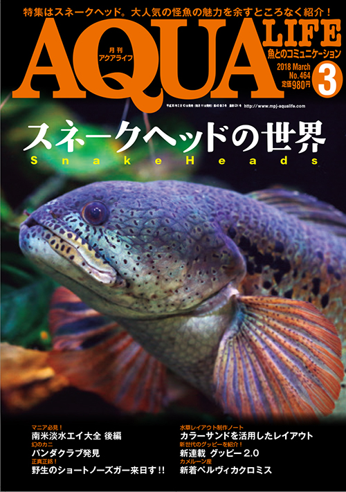 アクアライフ2018年03月号