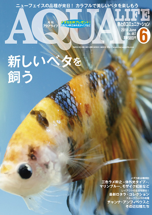 アクアライフ2018年06月号