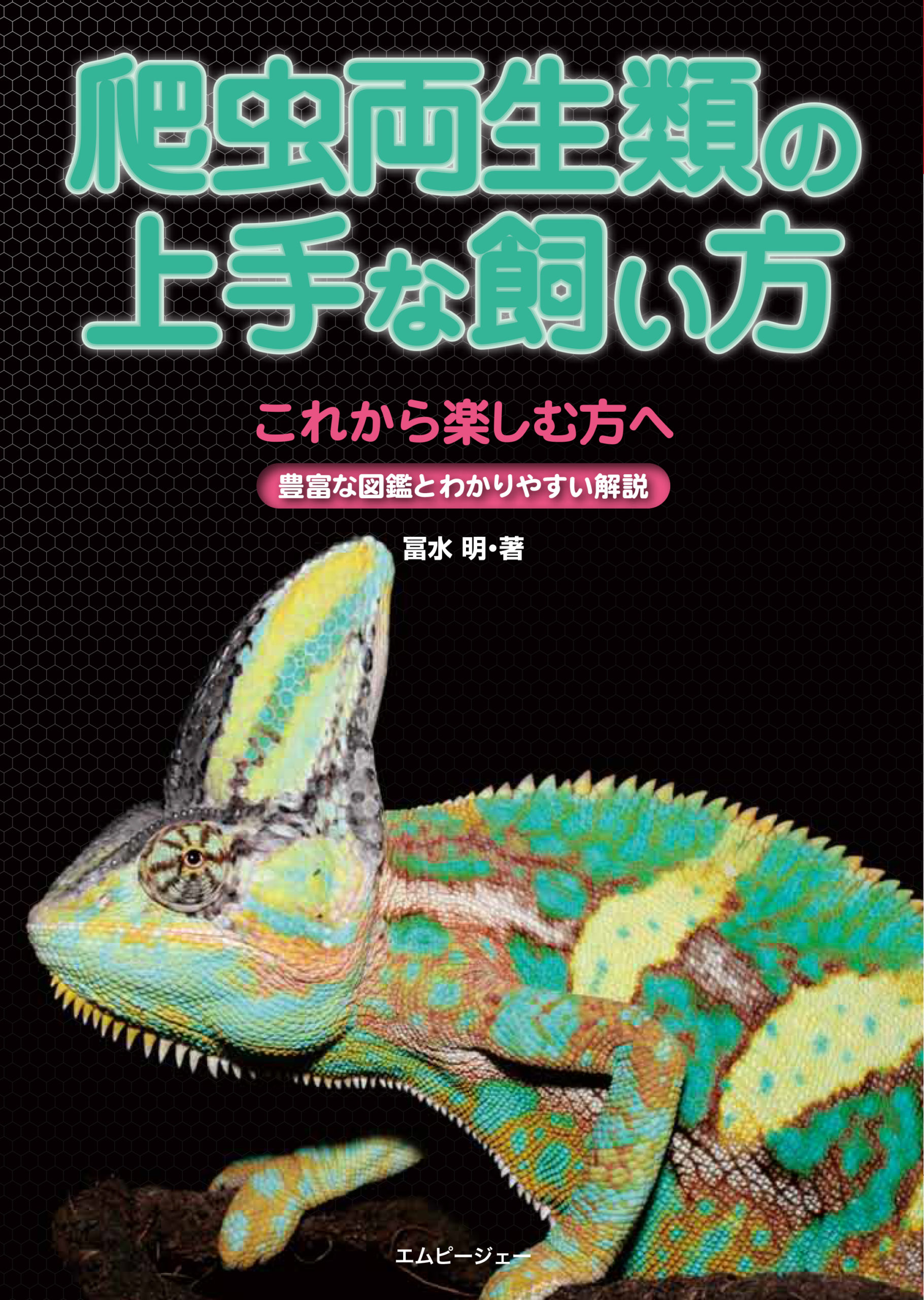 爬虫両生類の上手な飼い方