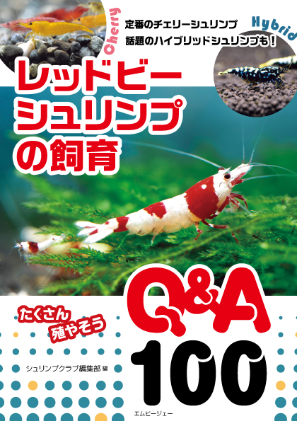 レッドビーシュリンプの飼育q A100 エムピージェー