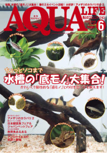 アクアライフ2013年