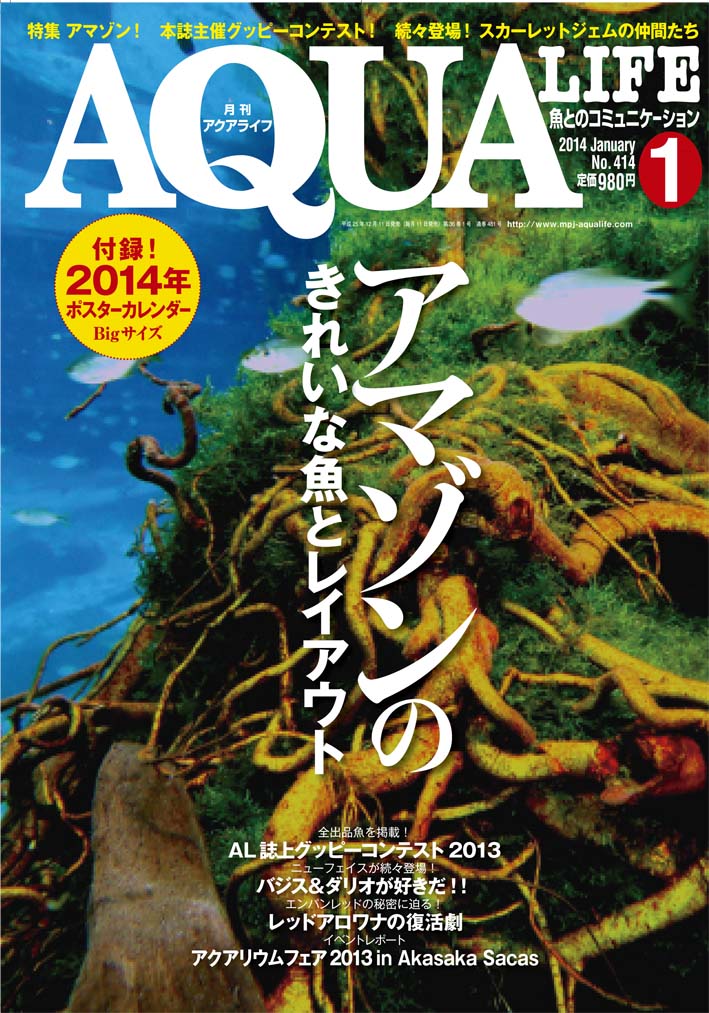 月刊アクアライフ2014年バックナンバー一覧 ｜ エムピージェー