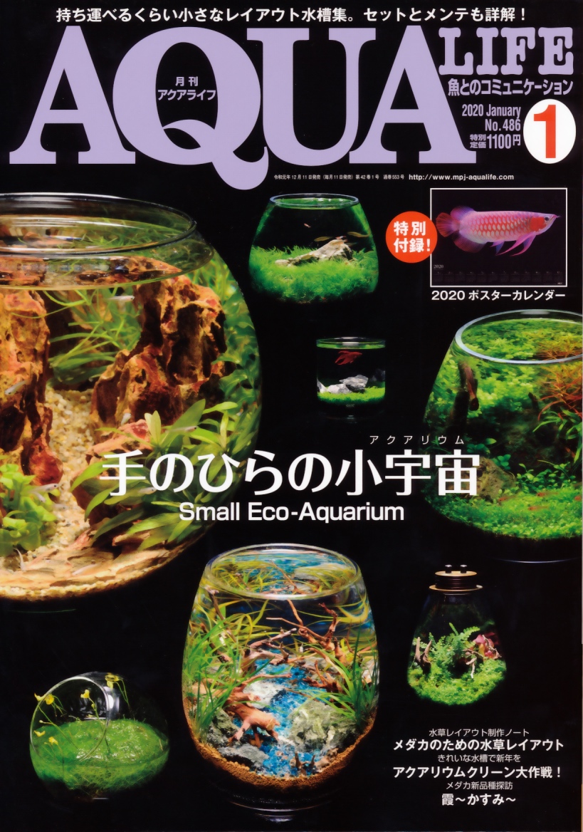 AQUA LIFE 月刊アクアライフ　手のひらの小宇宙　スモールエコアクアリウム