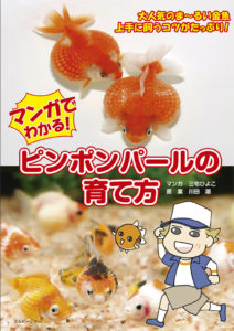 ピンポンパールの育て方 エムピージェー ピンポンパールの育て方 エムピージェー