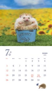 ハリネズミ カレンダー 2020　