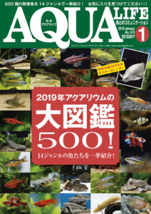 アクアライフ2019年