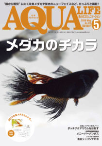 アクアライフ2019年5月号