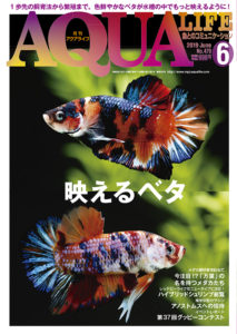 アクアライフ2019年6月号