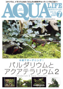 アクアライフ2019年7月号