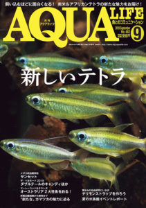 アクアライフ2019年9月号