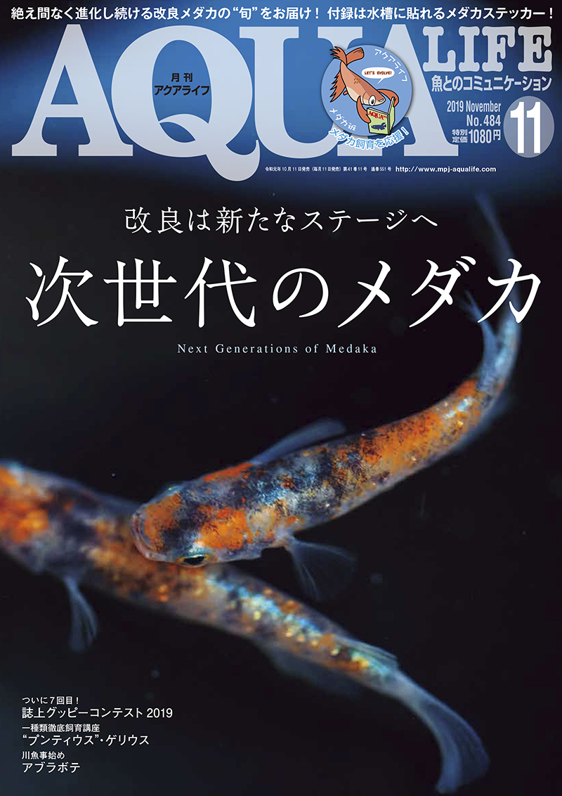 アクアライフ19年11月号は10月11日発売 エムピージェー