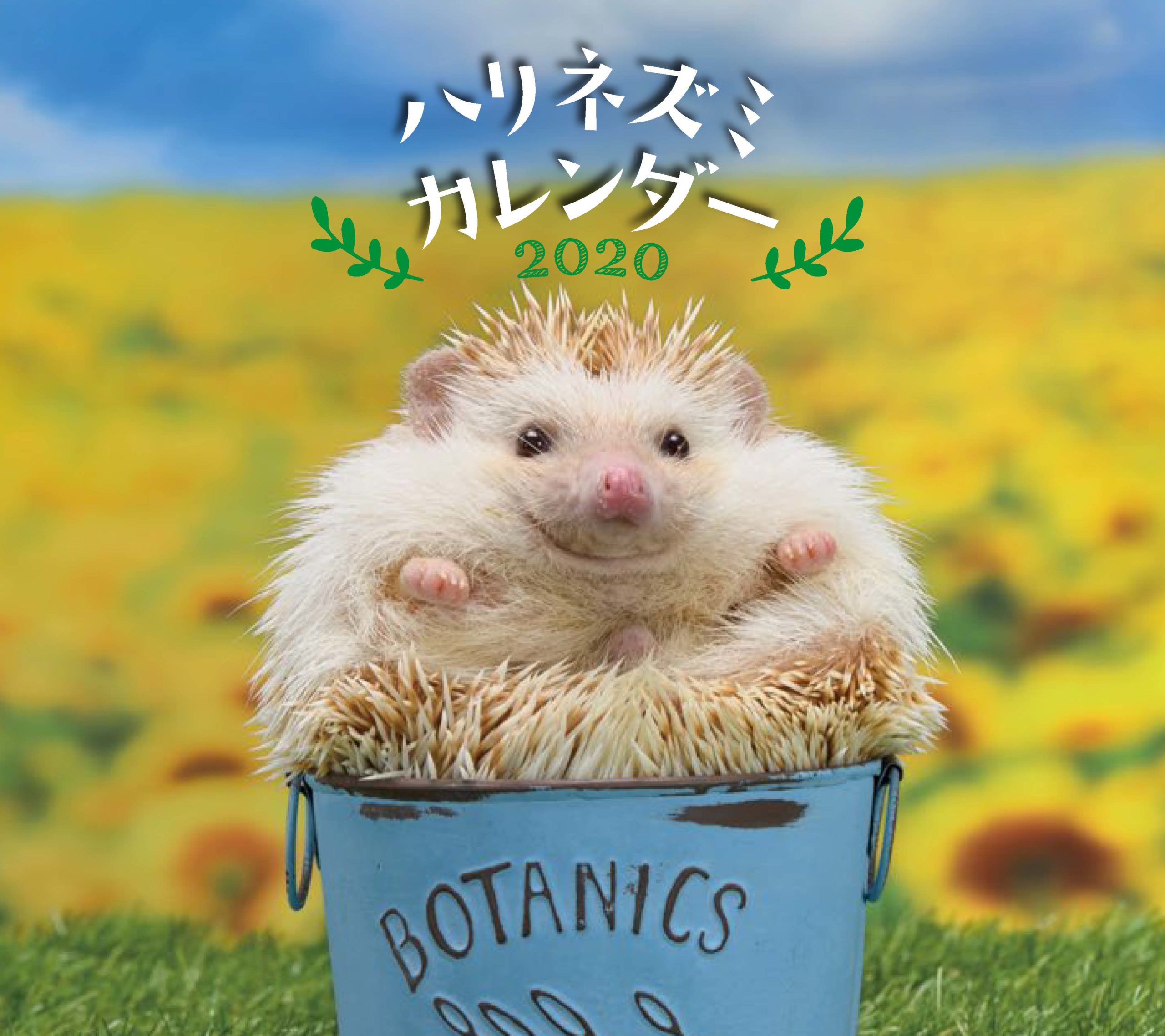 ハリネズミ カレンダー 2020