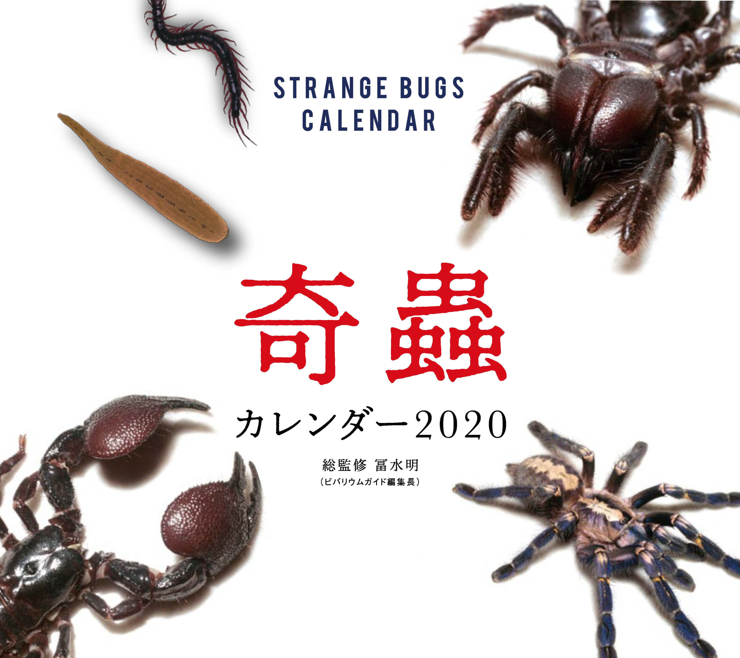奇蟲 カレンダー 2020