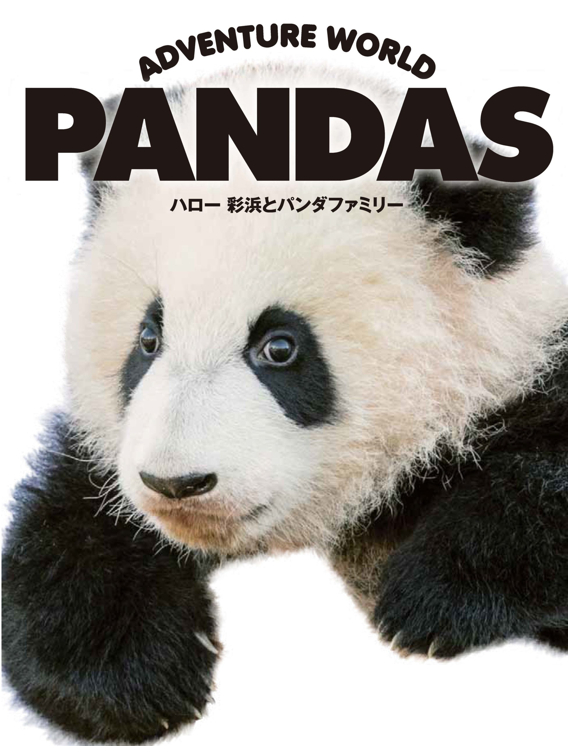 ADVENTURE WORLD PANDAS