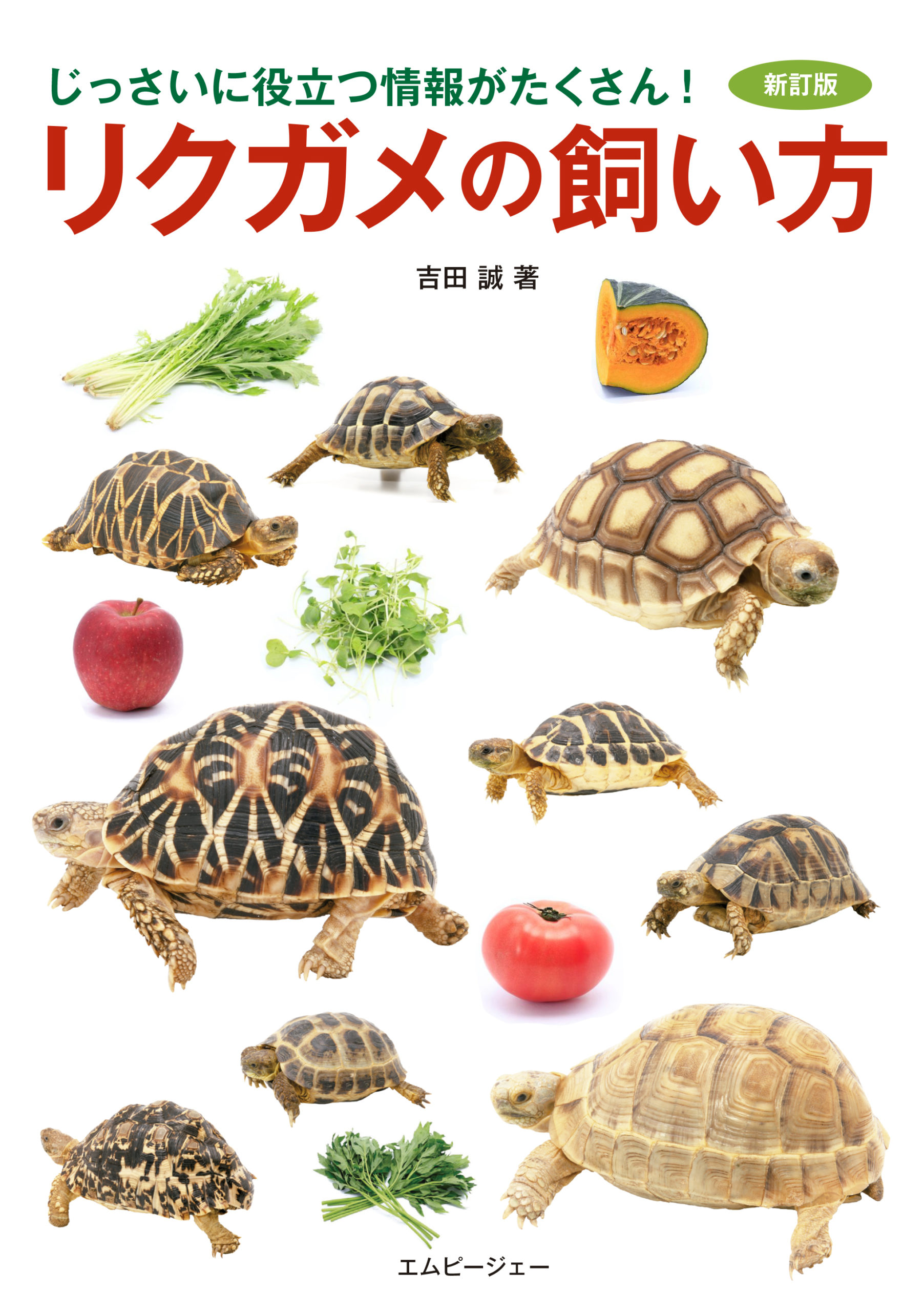 リクガメの飼い方