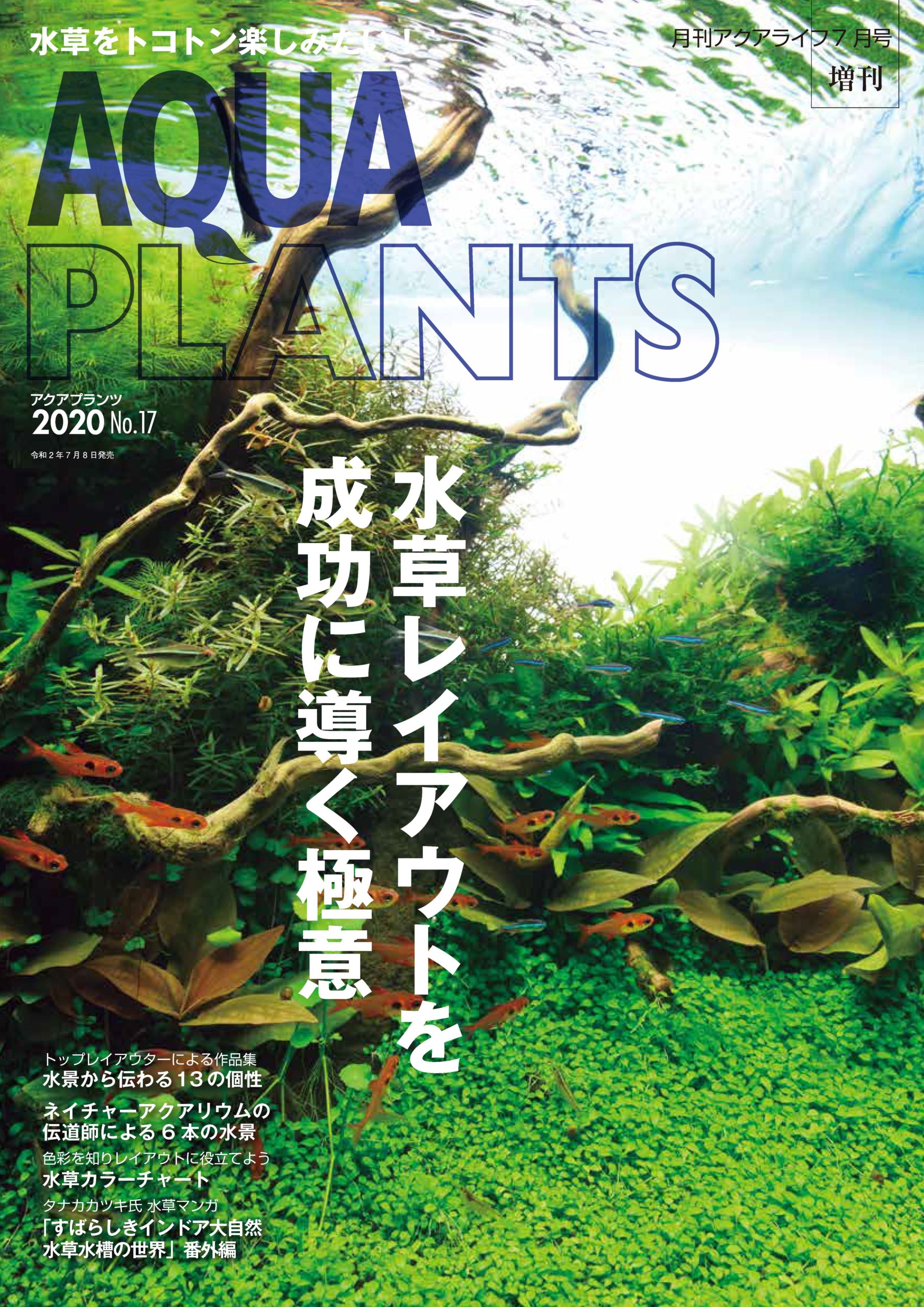 水草専門誌 アクアプランツ の記事一覧 エムピージェー