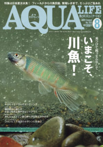 アクアライフ2020年8月号