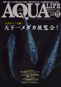 アクアライフ2020年11月号