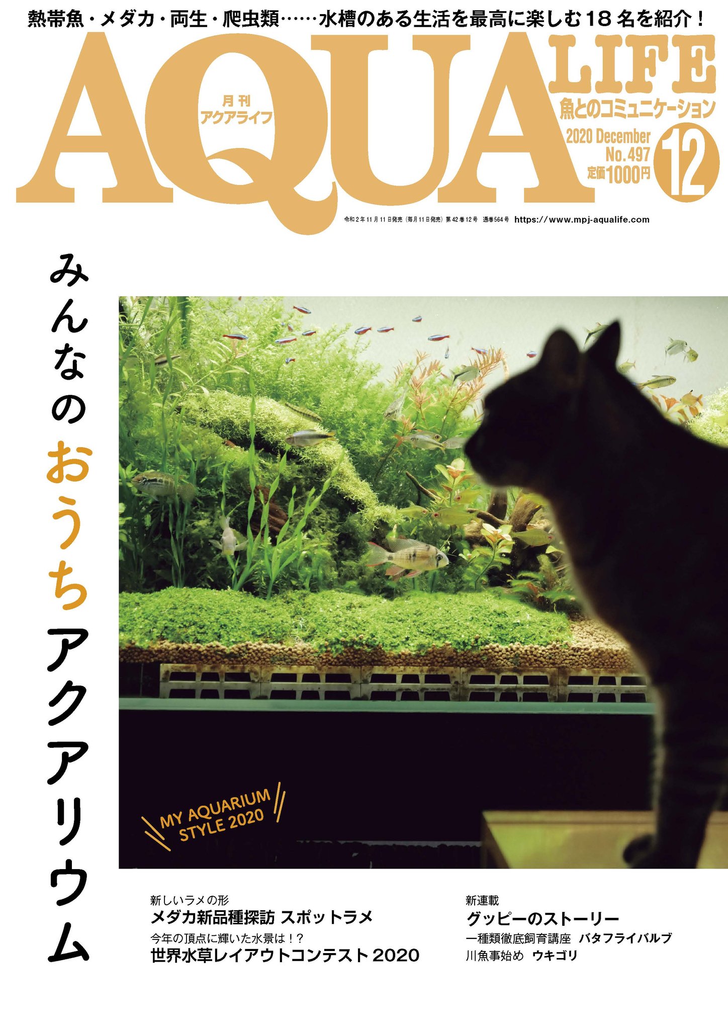 月刊アクアライフ2020年12月号