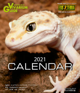 VG91_calendar