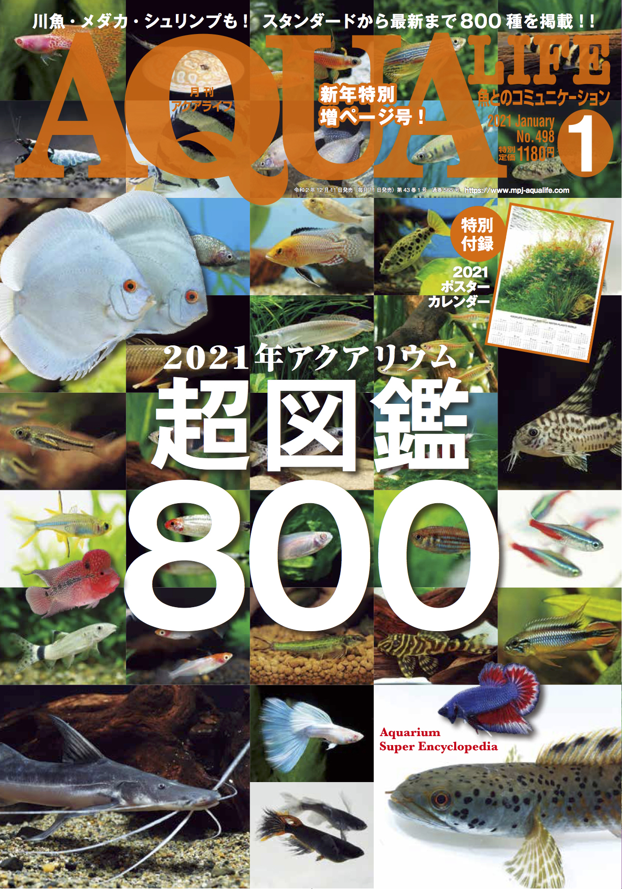 アクアライフ2021年1月号は12月11日発売！ ｜ エムピージェー