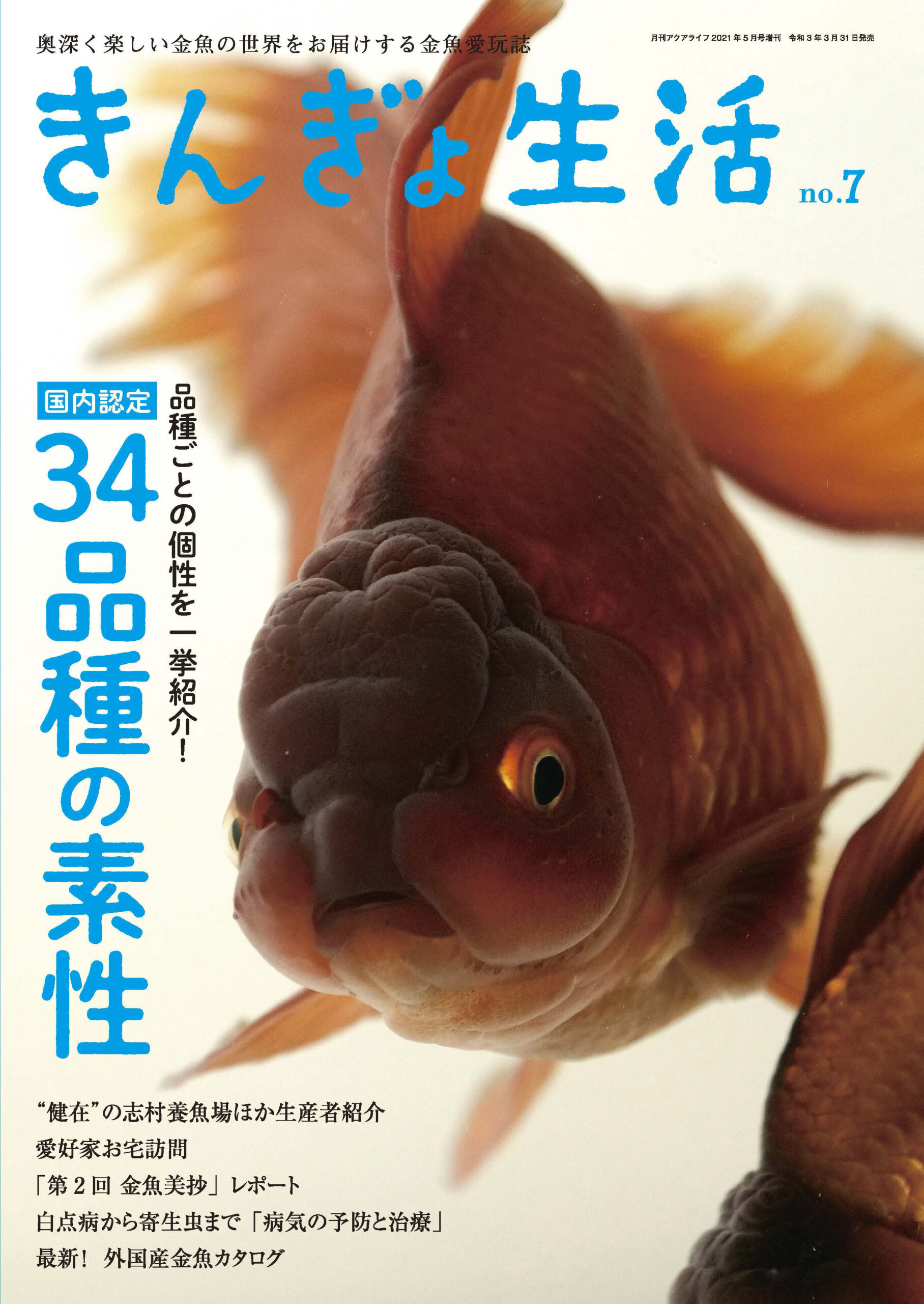 金魚情報誌 きんぎょ生活 の記事一覧 エムピージェー