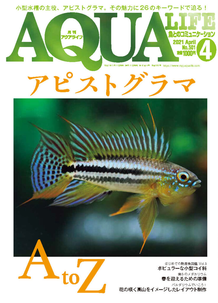 月刊アクアライフ2021年4月号