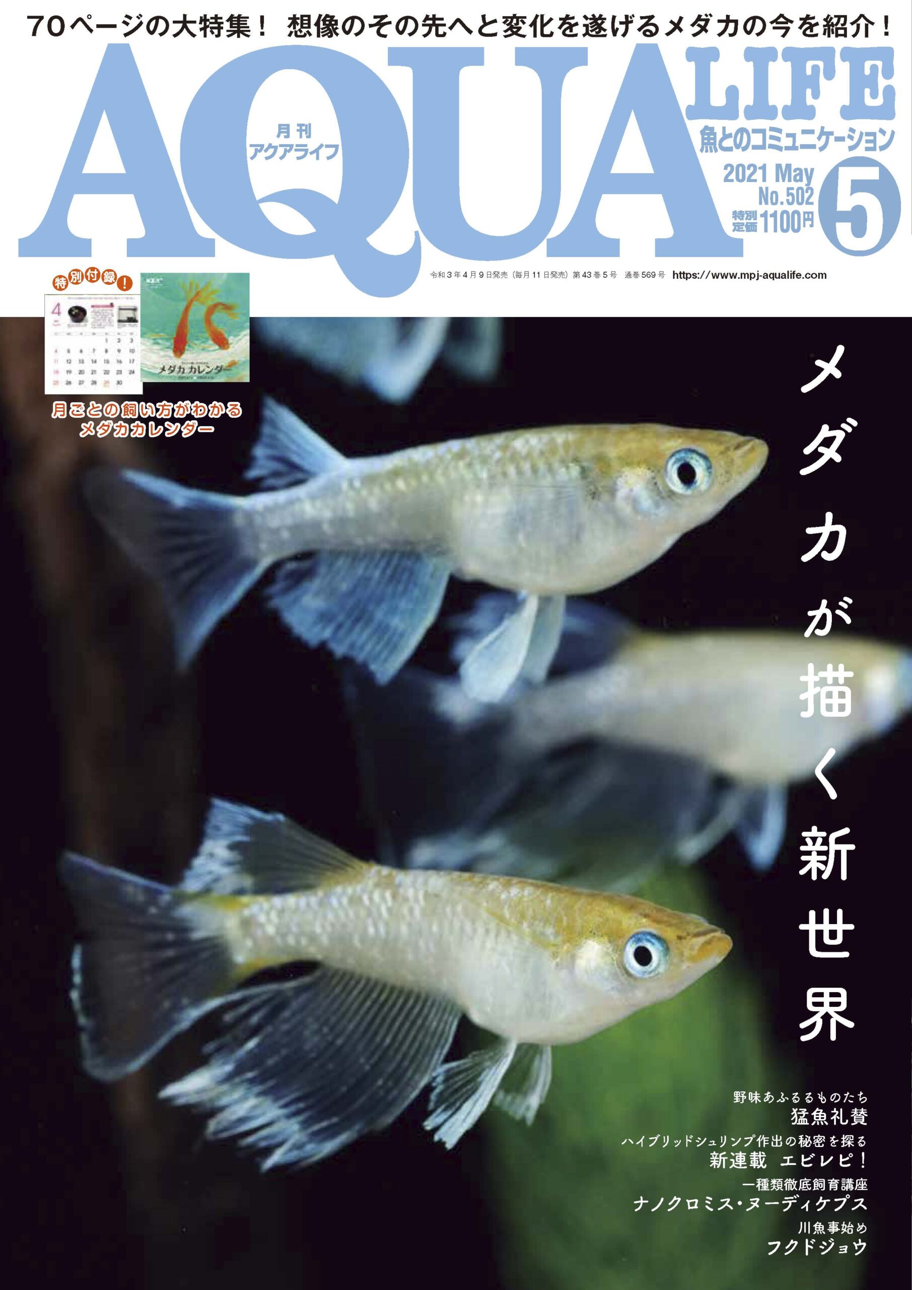 月刊アクアライフ2021年5月号