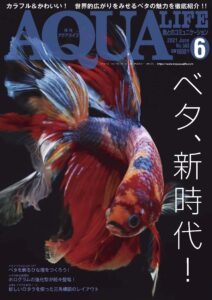 月刊アクアライフ2021年6月号