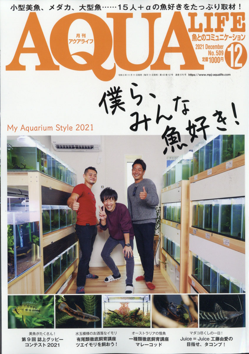 月刊アクアライフ vol.511、516 工藤由愛 表紙 2冊セット