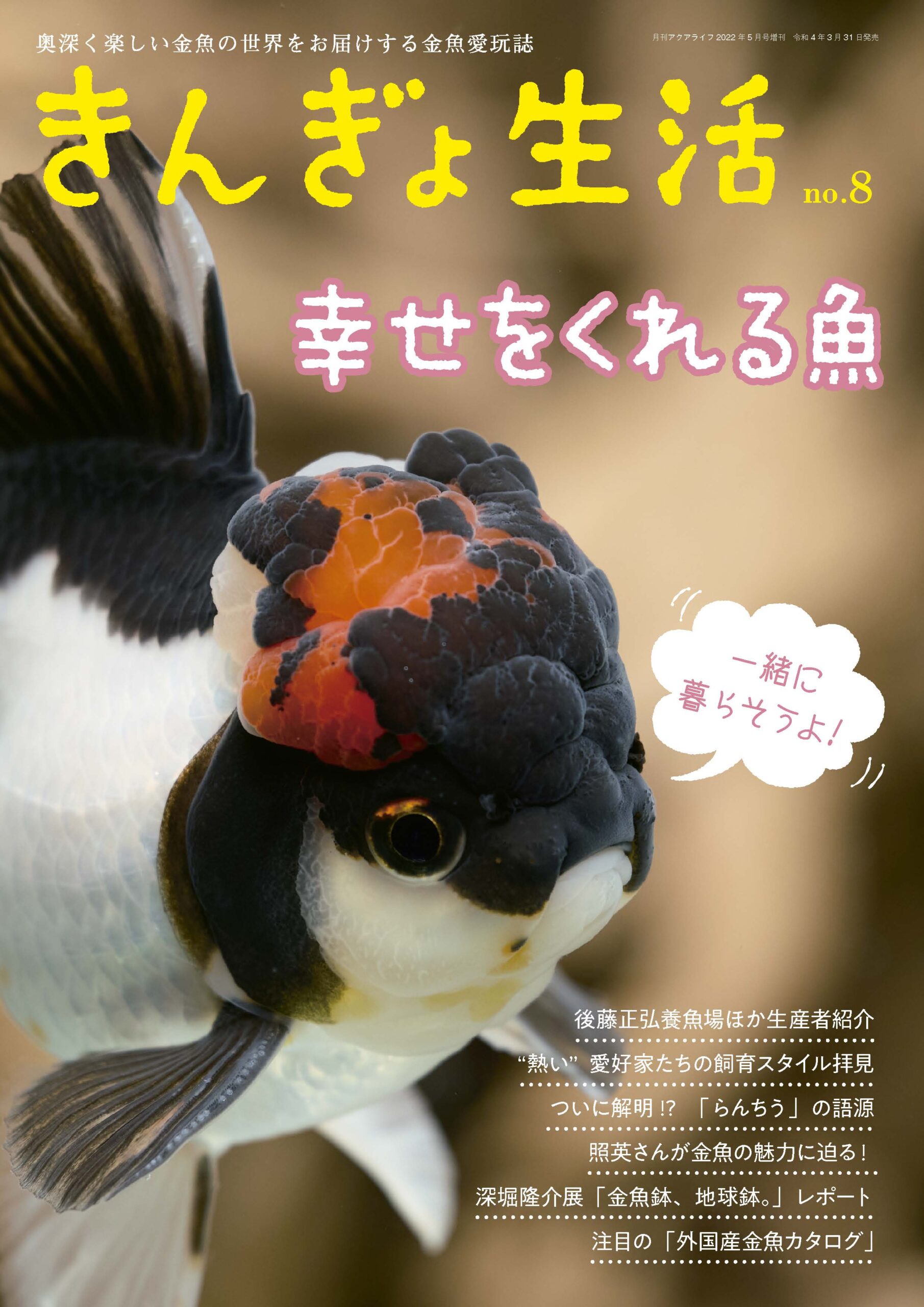 金魚情報誌 きんぎょ生活2022 No.8は2022年3月31日発売！ ｜ エムピー