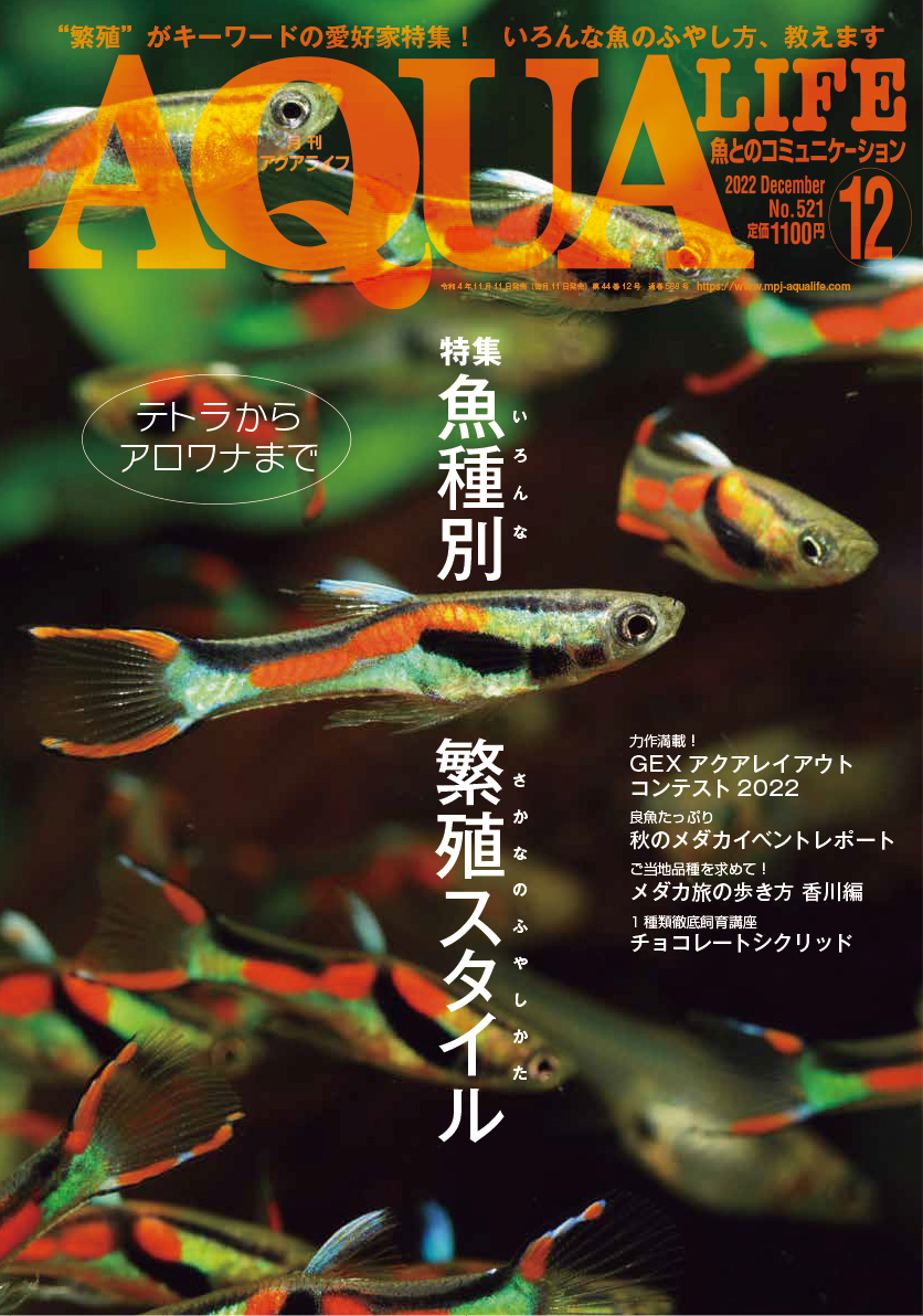 AQUALIFE アクアライフ-siegfried.com.ec