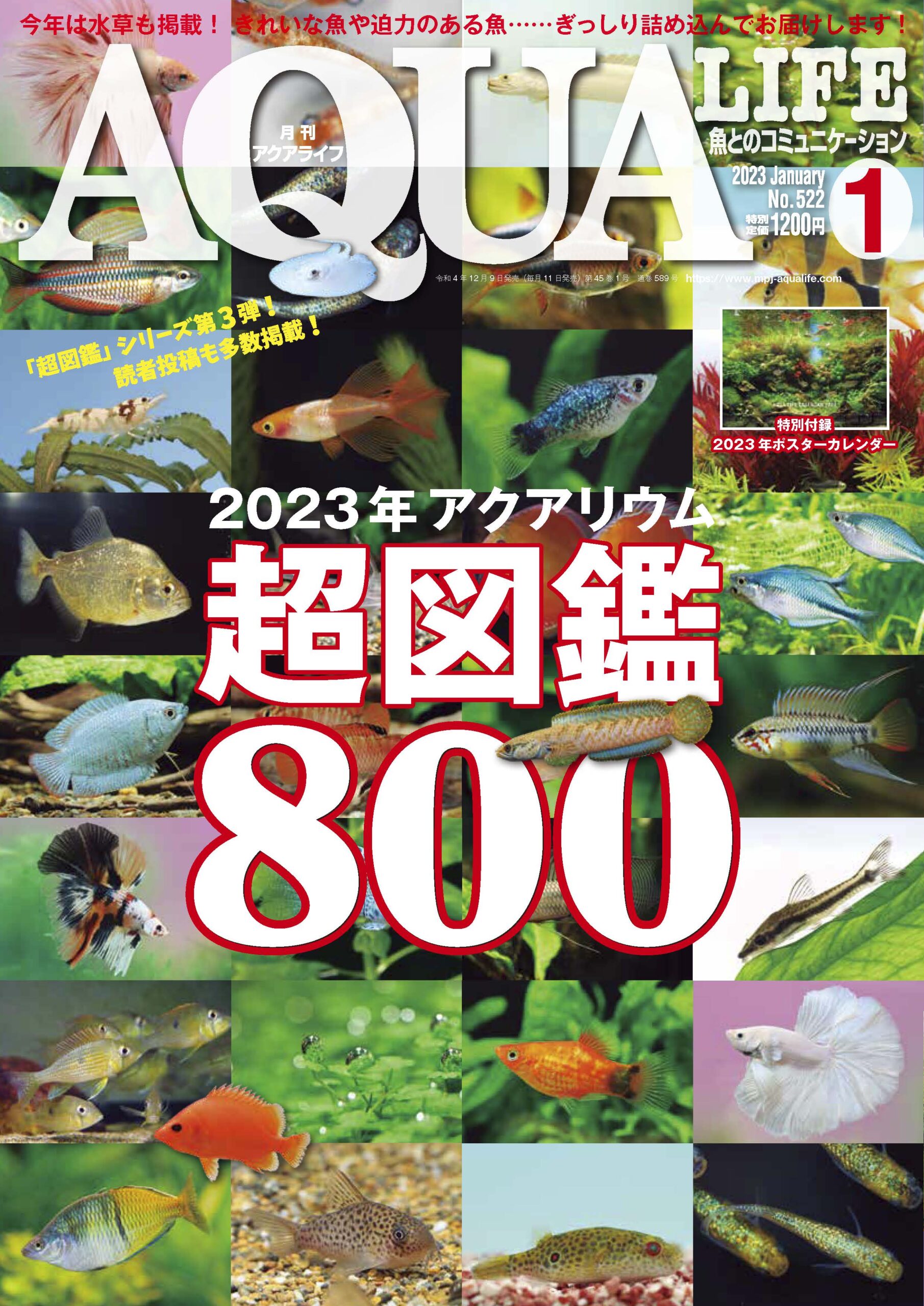 アクアライフ2023年1月号は12月9日発売！ ｜ エムピージェー