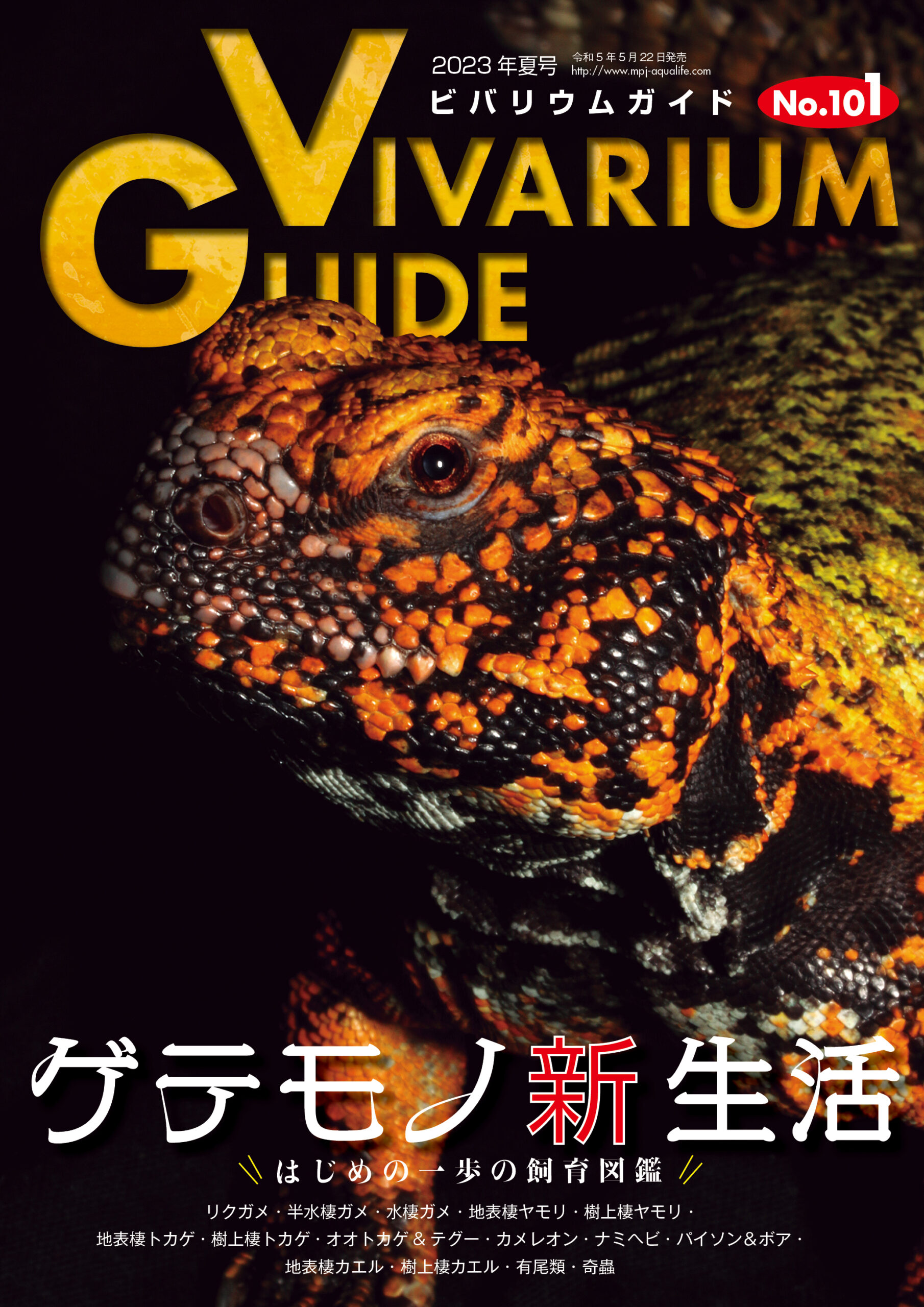 ビバリウムガイド、クリーパー、REPFANその他爬虫類関連の本
