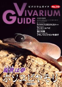 ビバリウムガイド　10冊セット④ ビバリウムガイドNo.104 2024年春号 どうやってもきれいに飼え